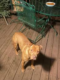 You grew up in Seale AL if......