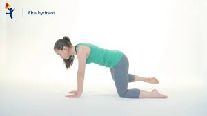 Contract the left glute and lift the left leg out to the side of your hip like a dog marking a fire hydrant. Core Exercise Fire Hydrant Youtube