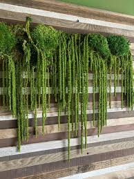 Pin On Jardines Verticales Interiores