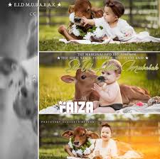 See more ideas about name pictures, names, pictures. Eid Mubarak Girl Dp For Whatsapp With Name Faiza