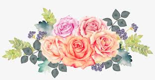 All images and logos are crafted with great workmanship. Watercolour White Flowers Png Picsart Png Image Transparent Png Free Download On Seekpng