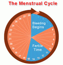 When Are You Most Likely To Get Pregnant Ovulation Guide