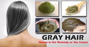 Below i am going to dive into the causes and the treatments you can do to prevent or. Henna Is The Remedy Or The Cause Of Grey Hairs