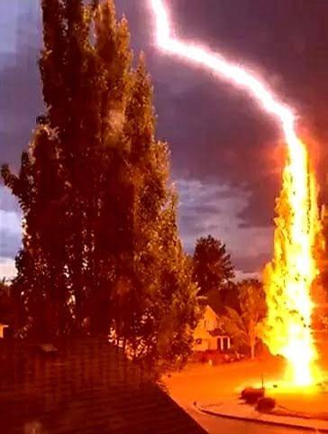 Lightning can do some crazy things': Tree burns from inside after lightning strike in Ohio