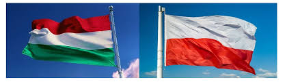 Wc qualification europe élő kommentár magyarország v lengyelország 2021. Iba Az Iba Es Az Ibahri Sajnalatosnak Tartja Magyarorszag Es Lengyelorszag Felelossegre Vonasanak Hianyat Az Eu Helyreallitasi Terve