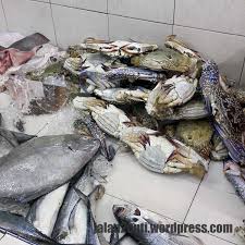 Medan ikan bakar muara sungai duyung, melaka. Tempat Makan Best Di Melaka Menu Ikan Bakar Muara Sungai Duyung Makan Angin Jalan Jalan Cuti Cuti