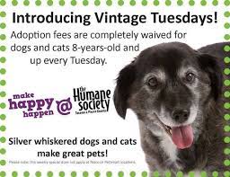 10 Brilliant Dog Promos Aspca Professional Animal Shelter Dog Adoption Event Dog Boarding Near Me