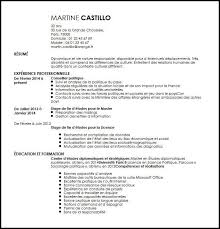 L'ordre politique en question, sociologie politique : Exemple De Cv Conseiller Politique Exemples Modeles De Cv
