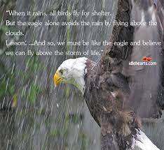 While other birds are flying for shelter when there is a storm, eagles soars high above the storm Be Like An Eagle And Believe That You Can Fly Above The Storm Eagles Quotes Bird Quotes Inspirational Quotes With Images