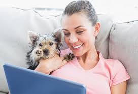 Facebook stories contine colectii de imagini sau clipuri video care pot fi. Cine Iti Viziteaza Profilul De Facebook