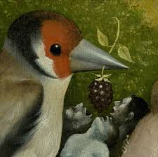 Pin Auf Bizarrely Beautiful
