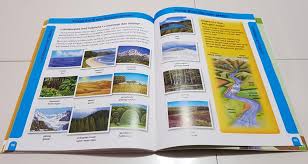 Laporkan kepada pihak berkuasa untuk tindakan segera! Oxford Children S English To Malay Visual Dictionary Hobbies Toys Books Magazines Magazines On Carousell