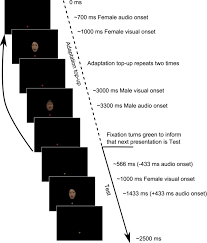 August 18, 2021 08:32 am. Example Test Trial Sequence From Experiment 1 Each Trial Began With An Download Scientific Diagram