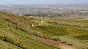 We did not find results for: Des Vignes Et Des Hommes En Replay Tous Les Emissions En Streaming Emissionreplay Fr