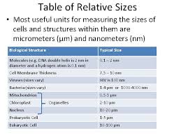Ian et al.6 have shown a substantial increase in the total. Topic 2 Cells Nerve Cell 2 1 Cell