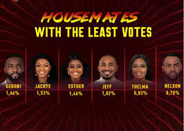 On the first sunday, biggie expects the housemates to fish out the two fake housemates, the wildcards, for global times nigeria Bbnaija Eviction