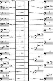 how to find notes on the bass guitar neck dummies