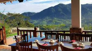 Find 234 traveller reviews, 648 candid photos, and prices for 10 bed and breakfasts in janda baik, pahang, malaysia. Interesting Places In Malaysia Janda Baik Bungalow For Rent