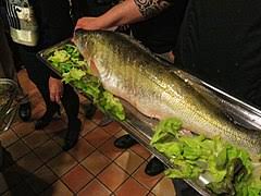 Die fische putzen, in stücke schneiden, mit paprika bestreuen, salzen und pfeffern.zwiebeln und wurzelwerk klein hacken, in heißer butter rösten. Zander Wikipedia