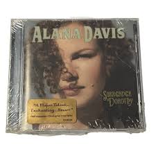 After The Storm by Vincent James Peterson (CD, 1998)