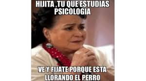 Este domingo 20 de junio , comparte las imágenes. Memes Del Dia Del Psicologo 2019 Union Guanajuato