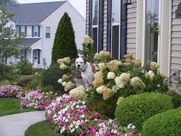 Pin By Julie Tirado On Places To Visit Front Yard Landscaping Design Front Landscaping Landscape Plans