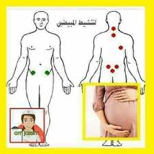مركز نور الحياة للتداوي بالاعشاب مركز نور الحياة متوفر غدا حجامة لتنشيط المبايض رقية شرعية ومتوفر كذلك حجامة رقية شرعية للرجال لاى استفسار 0923113649 Facebook