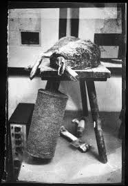 Joseph beuys was born may 12, 1921, in krefeld on the german/dutch border near his parents' home in cleves. From The Action By Joseph Beuys Explaining Pictures To A Dead Hare 1965 Printed 1997 By Ute Klophaus Joseph Beuys Art Gallery Of Nsw