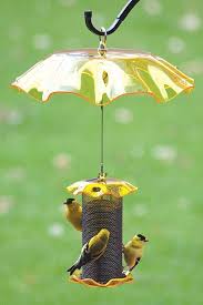 Bird Feeder Rain Guard Forever 1 Qt Yellow Finch Feeder W Weather Guard Finch Feeders Yellow Finch Humming Bird Feeders