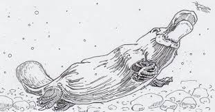 Obdurodon Dicksoni S Toothy Trade Off Towards The Evolution Of Platypus Electroreception A New Anatomy Paleontology Thing For Curious Kids 2 New Things Art drawings for kids art drawings sketches drawing for kids painting for kids cartoon drawings cute drawings animal drawings painting learn to draw a selection of birds with our fun drawing tutorials, which teach kids with a simple step by step copying process. obdurodon dicksoni s toothy trade off