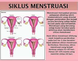 Kemudian ia tidak keluar lagi. Penyebab Darah Haid Sedikit Dan Tidak Lancar Malayderee