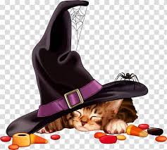Halloween will be here before we know it! Halloween Cat Meng Meng Da Transparent Background Png Clipart Nohat Free For Designer
