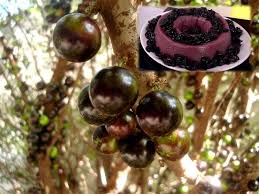 O consumo da fruta pode servir para tratamentos gastrointestinais, como diarreia e disenteria. Fruta Del Dragon Keo Mangkon Tambien Conocida Como Pitahaya Pitaya Es Muy Rica Y Muy Aguosa Algo Dulce Y Baja En Calorias Su Textura Se Parece Un Ppt Descargar