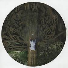 After breaking their silence to post a cryptic teaser over on twitter earlier today, the mars volta have now officially confirmed the la realidad de los. The Mars Volta The Widow Uk 12 Vinyl Picture Disc 12inch Picture Disc Record 318612