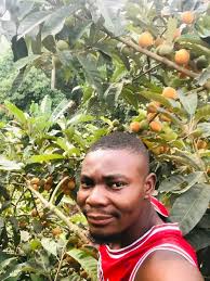 I enjoy my free time by posting here : )