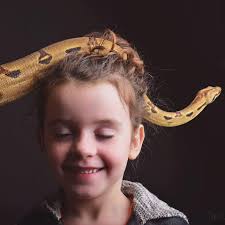 The Serpent Sanctuary