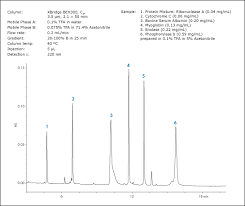 Protein Reversed Phase Columns Waters