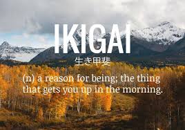 Sabah Uyandiginizda Sizi Yataktan Cikaran Dusunce Ikigai Felsefesi Beautiful Japanese Words Japanese Phrases Japanese Quotes