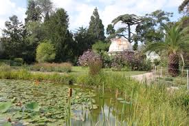 Jardin Des Plantes Montpellier Laurence Metayer Montpellier South Of France Botanical Gardens