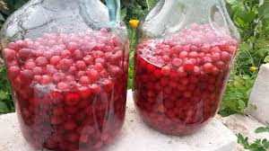 Daca nu ai alcool dublu rafinat, cumpara votca de calitate; Curcubeu Culinar ViÈinata Reteta Veche