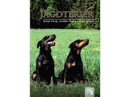 Image result for jagdteriér