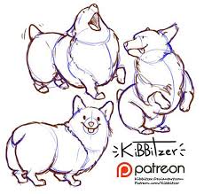 Follow Kibbitzer On Patreon Read Posts By Kibbitzer On The World 39 S Largest Platform Enabling A New Generat Drawing Reference Animal Drawings Corgi Drawing
