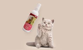 One can use an exhaust fan in the attached bathroom so. 7 Best Cat Deterrent Sprays Jun 2021 Buyer S Guide