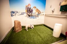 Our store also offers grooming, training, adoptions and curbside pickup. Pets Denver International Airport