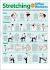 Infographic Desk Stretches