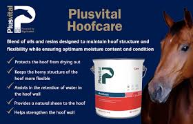 Deals of the day · shop best sellers · explore amazon devices Top Five Supplements To Improve The Performance Of Your Racehorse
