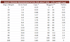 dog feeding chart by age goldenacresdogs com