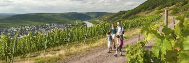Landal Sonnenberg Ferienpark An Der Mosel