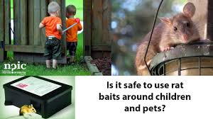 Can Rat Poison Rodenticides Hurt Kids And Pets
