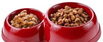 Dog feeding amounts vary from product to product based on calorie content and formula. Feeding Your Dog Canned Or Dry And How Often
